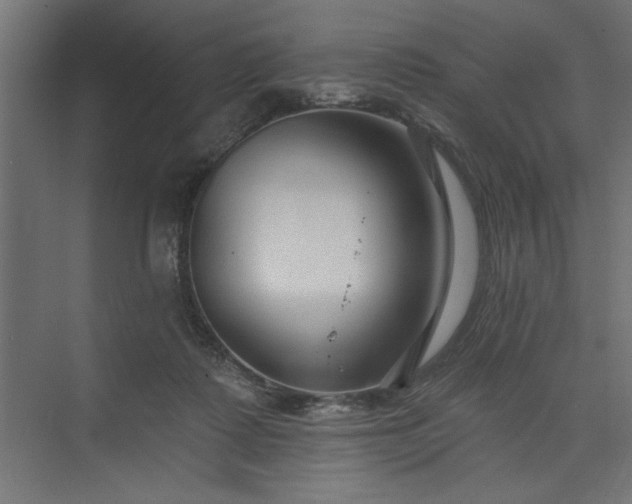 X0000073830315200608170948