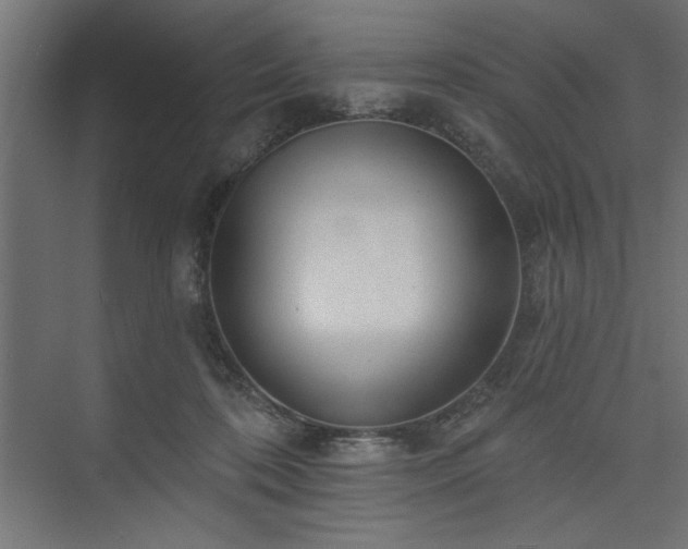 X0000073830316200608170948