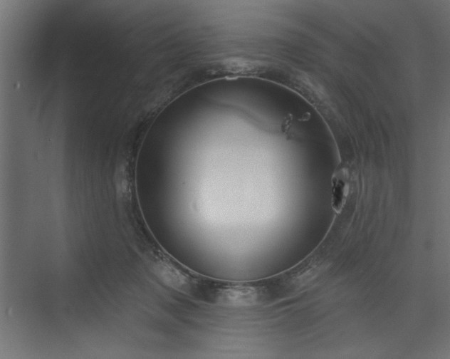 X0000073830317200608170948