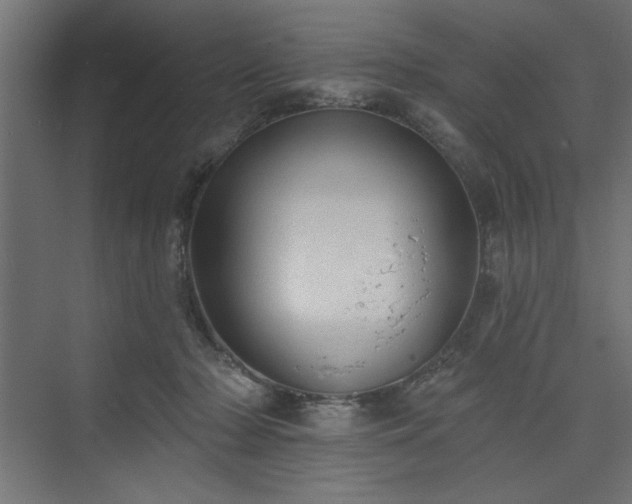 X0000073830318200608170948