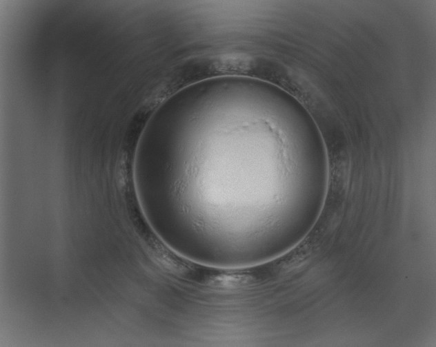 X0000073830323200608170947