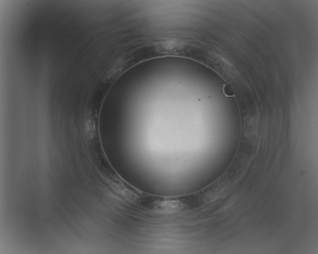 X0000073830324200608170947