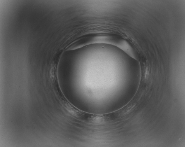 X0000073830325200608170947