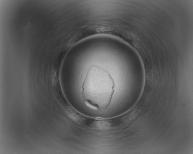 X0000073830327200608170947