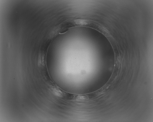 X0000073830330200608170947