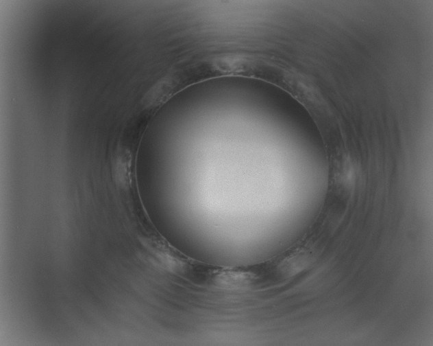 X0000073830332200608170947