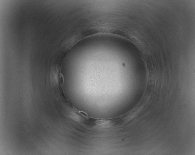 X0000073830334200608170947