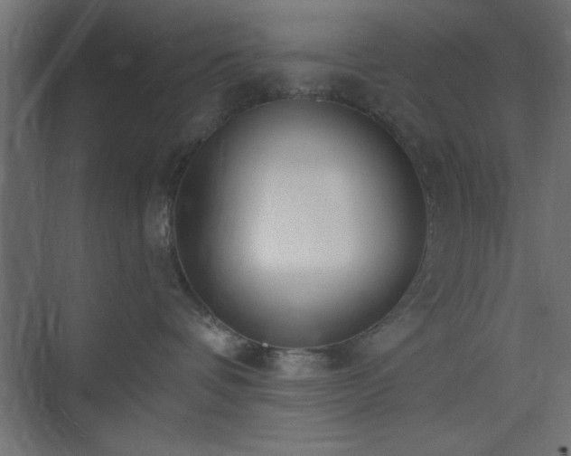 X0000073830336200608170947