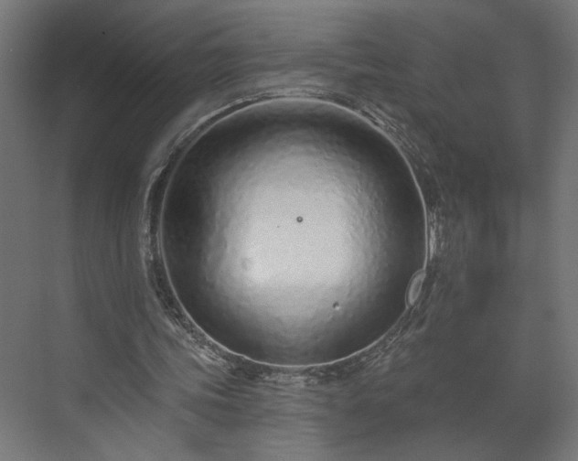 X0000073830339200608170946