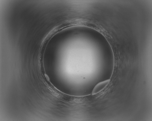 X0000073830341200608170946