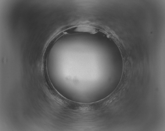 X0000073830344200608170947