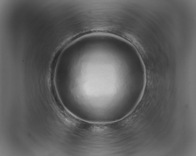 X0000073830346200608170947