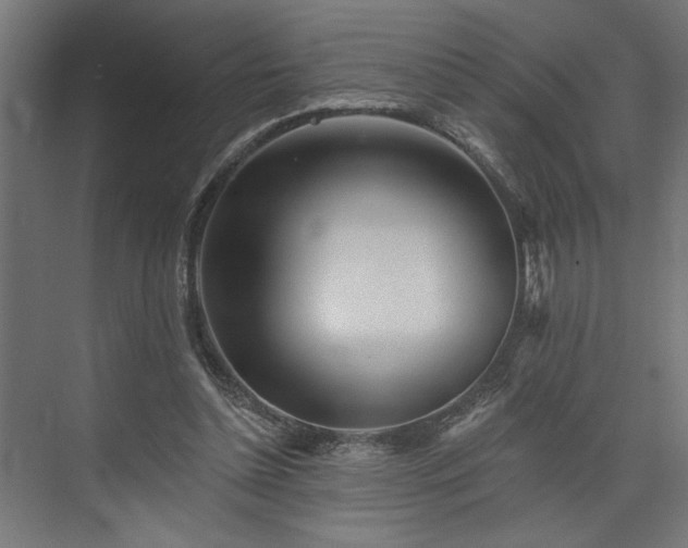 X0000073830348200608170947