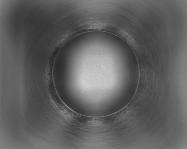 X0000073830354200608170947