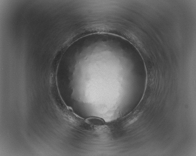 X0000073830355200608170947