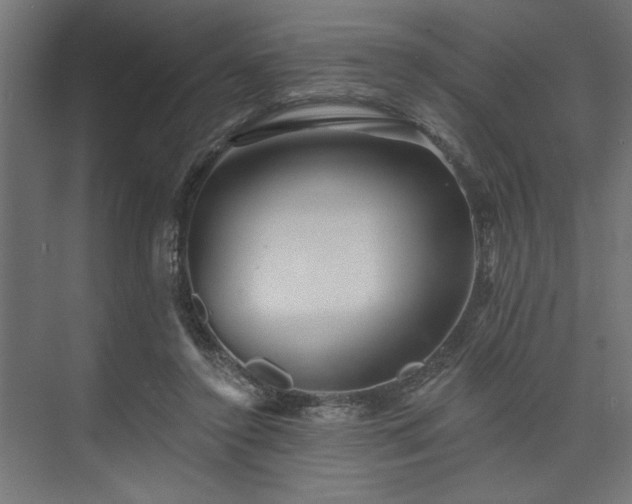 X0000073830356200608170947