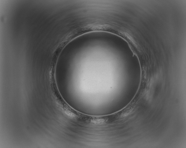 X0000073830357200608170947