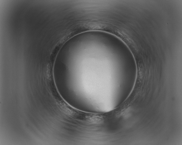 X0000073830359200608170947