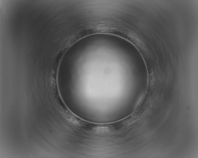 X0000073830361200608170947