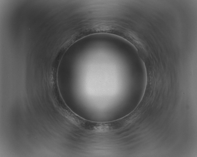 X0000073830362200608170947