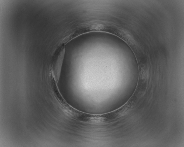 X0000073830363200608170947