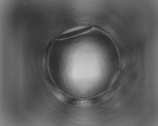 X0000073830365200608170947