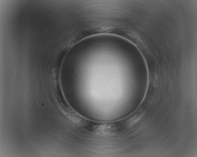 X0000073830366200608170947