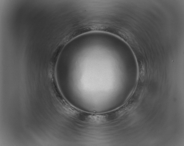 X0000073830367200608170947