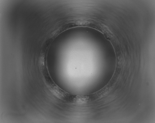 X0000073830368200608170947