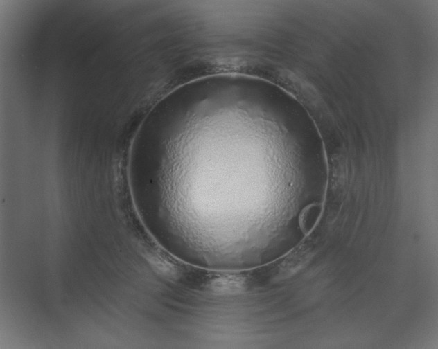 X0000073830369200608170947