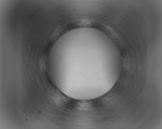 X0000073830370200608170947