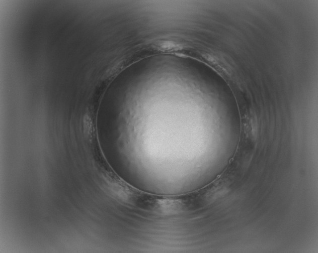 X0000073830371200608170947