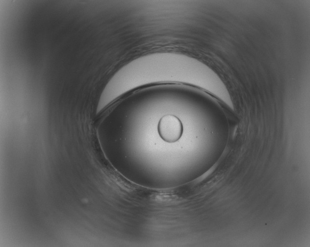 X0000073830372200608170947