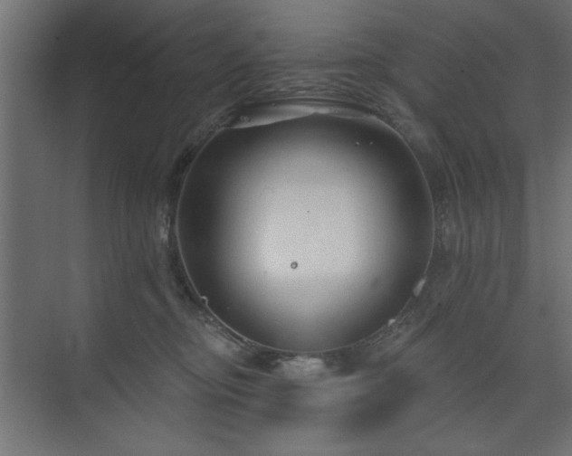 X0000073830374200608170947