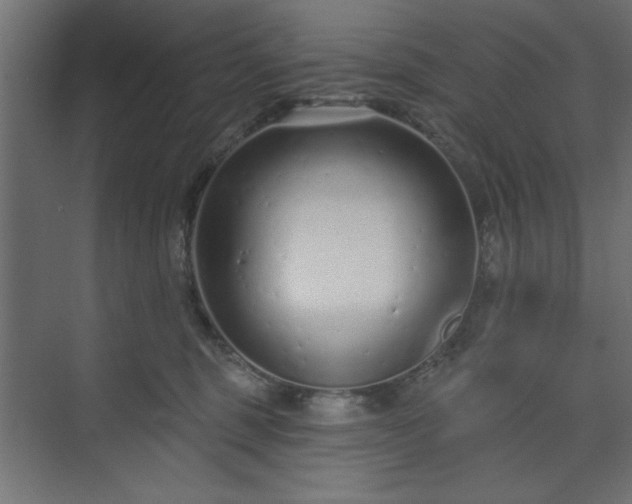 X0000073830375200608170947