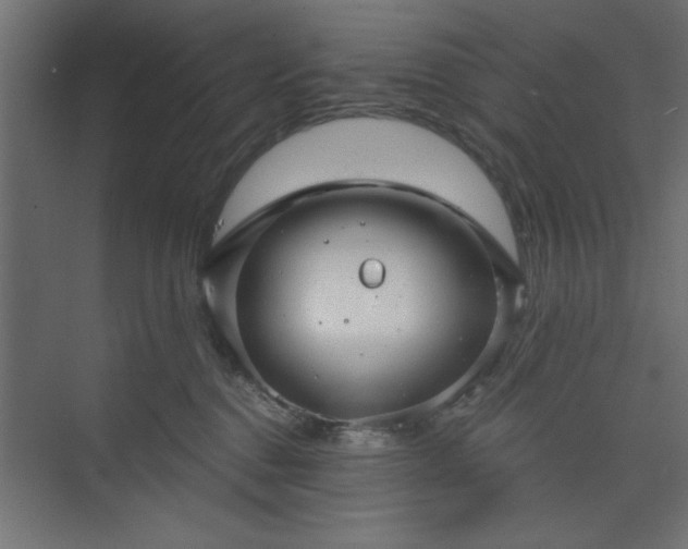 X0000073830376200608170947