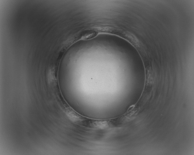 X0000073830377200608170947