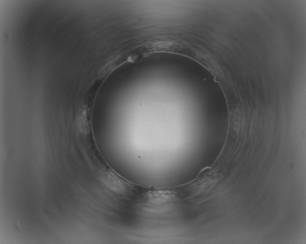 X0000073830378200608170947