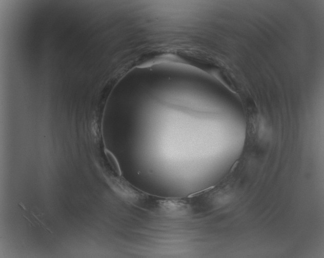 X0000073830380200608170947