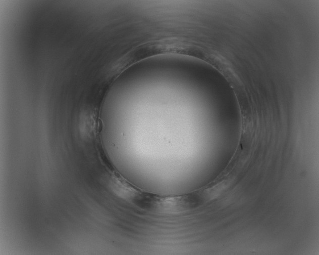 X0000073830382200608170947