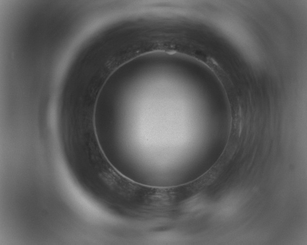 X0000073830383200608170947