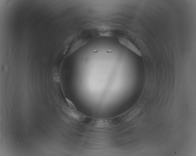 X0000073830384200608170947