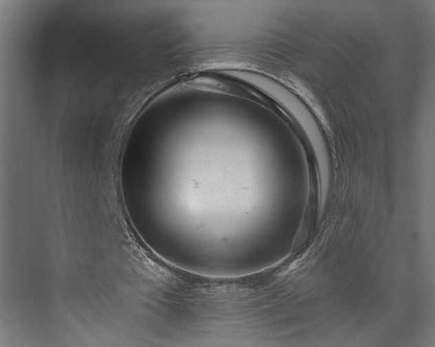 X0000073830385200608170946