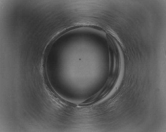 X0000073830387200608170946