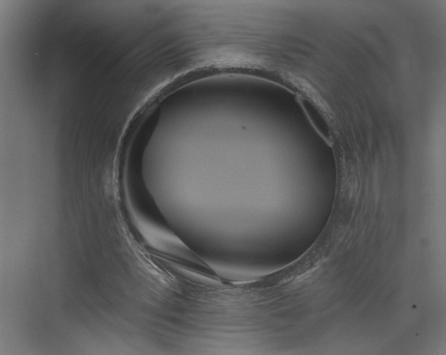 X0000073830391200608170946