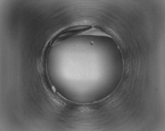 X0000073830392200608170946