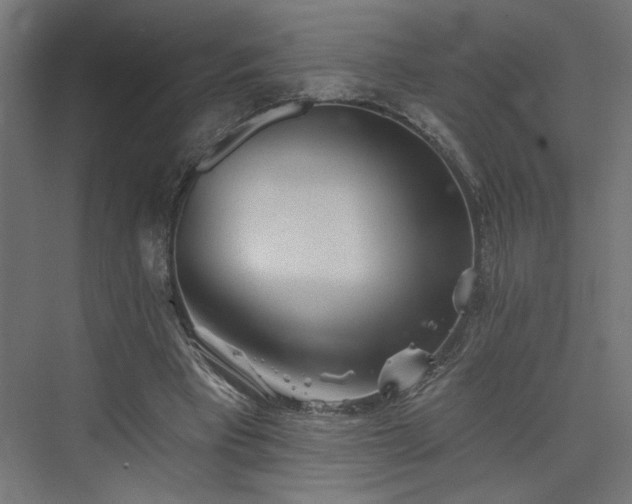 X0000073830393200608170946