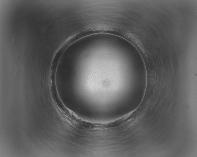 X0000073830395200608170946