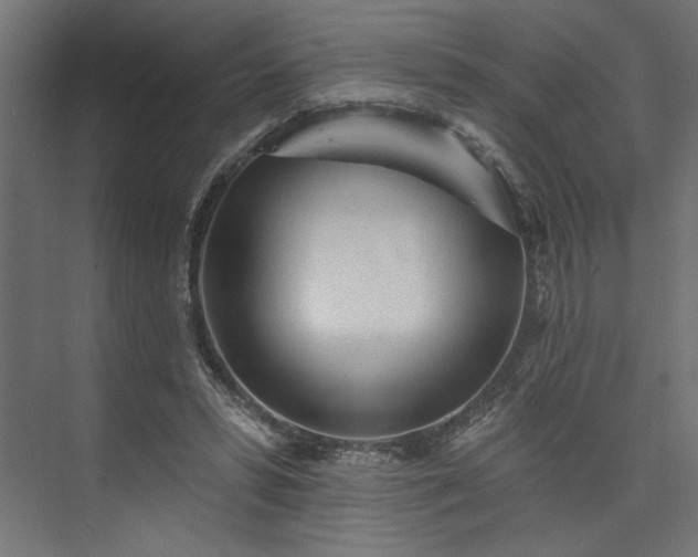 X0000073830399200608170946