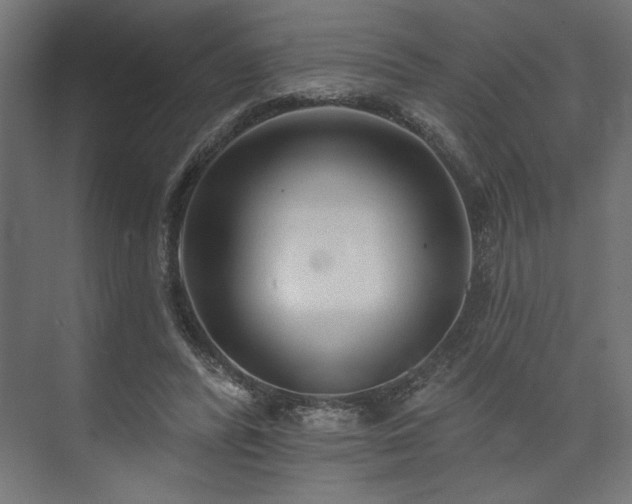 X0000073830400200608170946